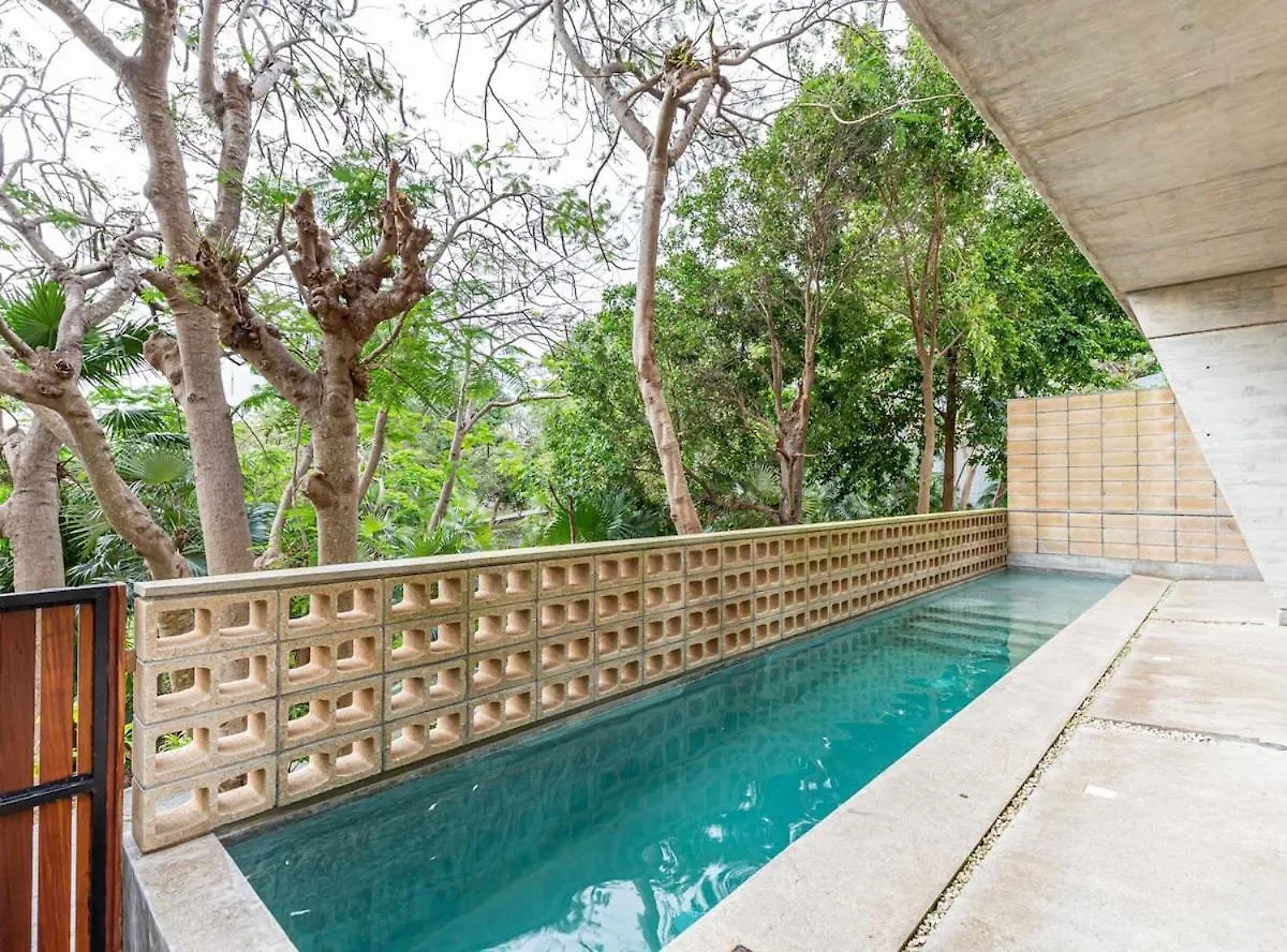 Fabulous Loft With Pool Apartment Cancun